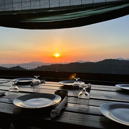 Ferme Auberge Du Col De La Vaccia Olivese Dış mekan fotoğraf