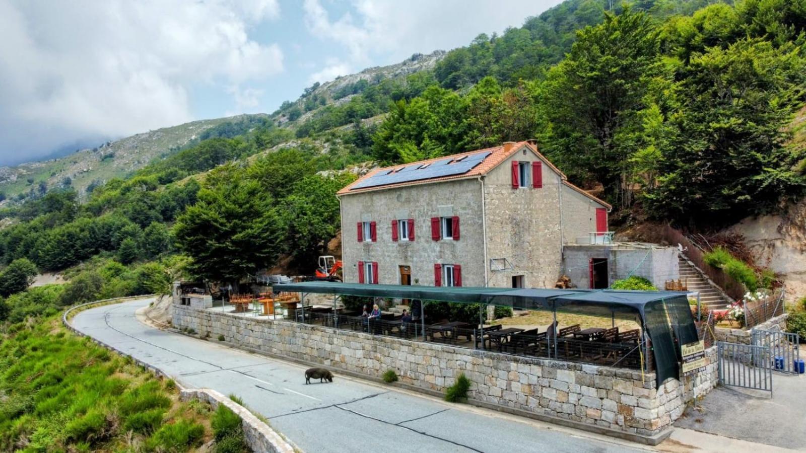 Ferme Auberge Du Col De La Vaccia Olivese Dış mekan fotoğraf