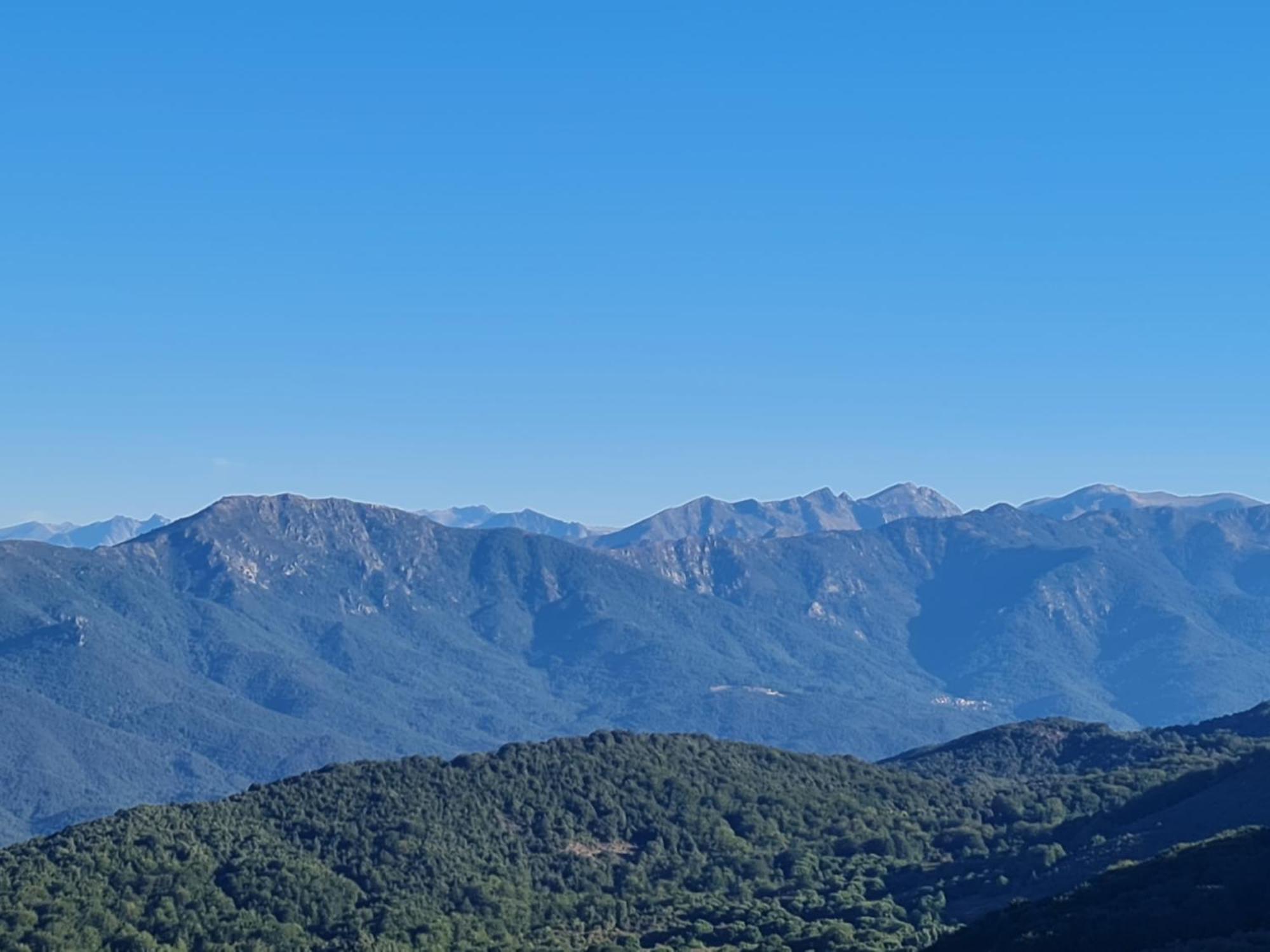 Ferme Auberge Du Col De La Vaccia Olivese Dış mekan fotoğraf