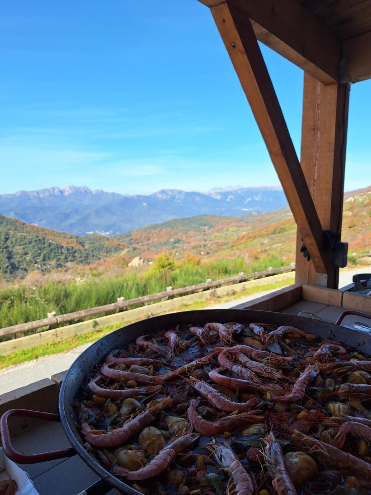 Ferme Auberge Du Col De La Vaccia Olivese Dış mekan fotoğraf
